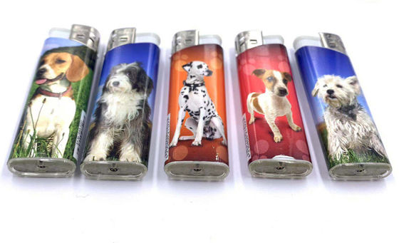 Plastic Transparent Disposable Cigarette Lighter Refillable Gas Encendedor Custom