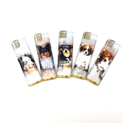 Kitchen OEM Custom Electronic Gas Lighter with En13869 Certification in Five Colors
