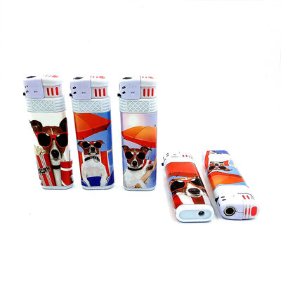 Disposable Electric Lighter Model NO. DY-F016 with Windproof Design and Good