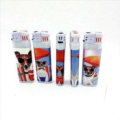 Disposable Electric Lighter Model NO. DY-F016 with Windproof Design and Good