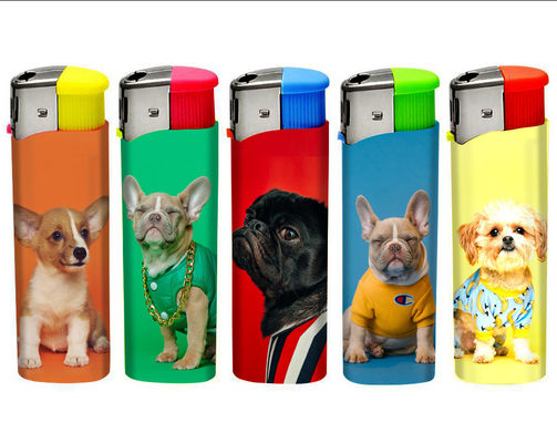 Portable Smoking Electronic Disposable Lighter with Customer Logo Ignite Your Passion