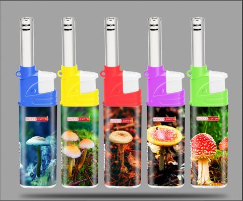 Kitchen Electric BBQ Lighter with Torch and Plastic Material from Dongyi 2022