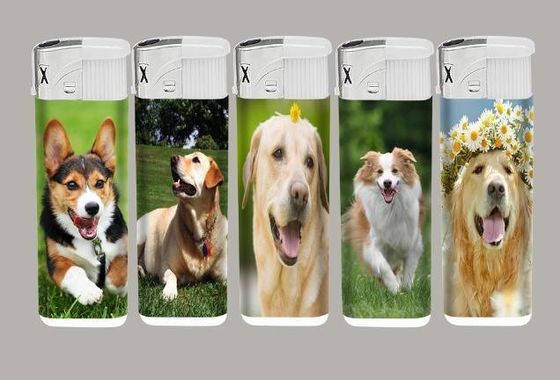 Carton Size 43*26*27cm Refillable Plastic Lighter with PVC Label and Flame Style
