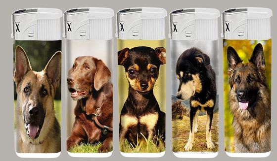 Carton Size 43*26*27cm Refillable Plastic Lighter with PVC Label and Flame Style
