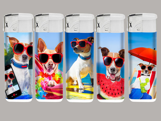 Carton Size 43*26*27cm Refillable Plastic Lighter with PVC Label and Flame Style