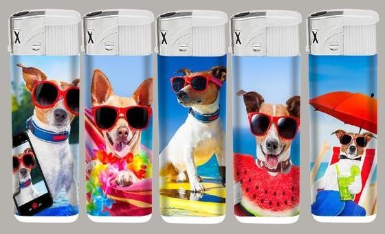 Plastic Refillable Flint Gas Lighter with Transparent Design and ISO9994 Certificate