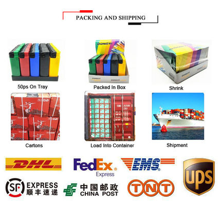Fashionable Design Dy-F018 Windproof Plastic Gas Lighter with Customization Option