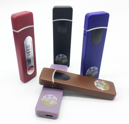 Customized USB Plastic Windproof Electronic Fingerprint Cigarette Lighter for Smoking